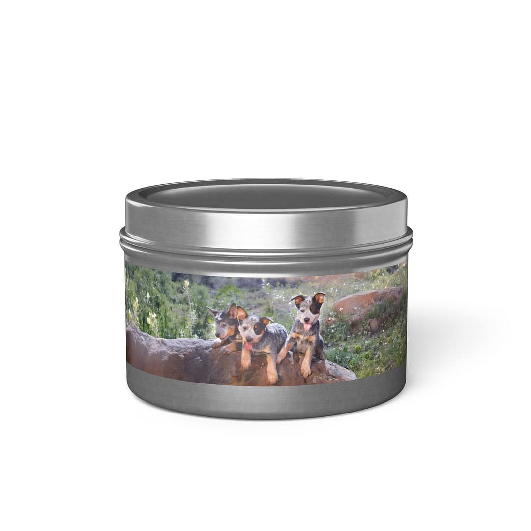 Nature-Inspired Tin Candles with Heelers