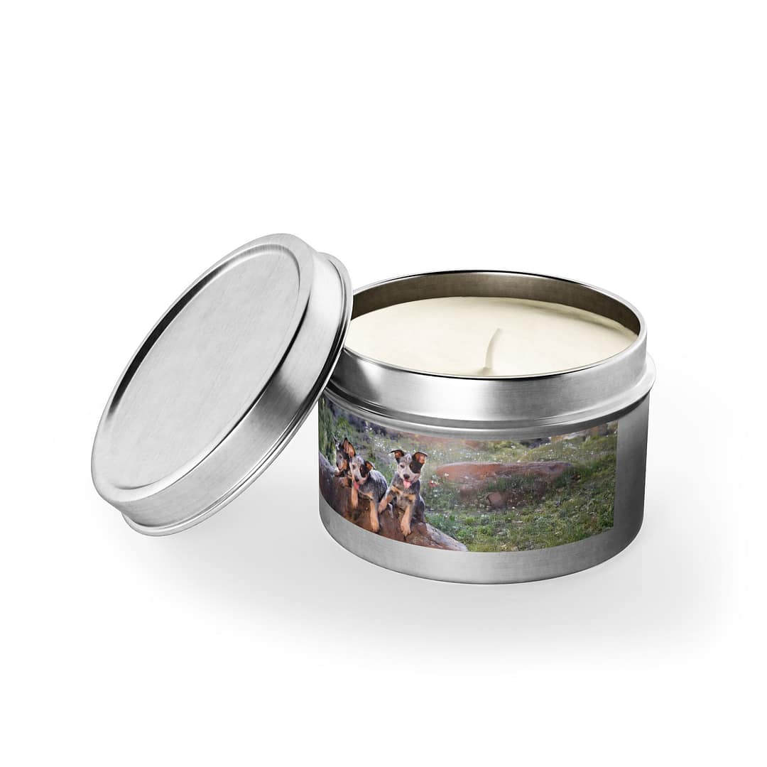 Nature-Inspired Tin Candles with Heelers - Image 2