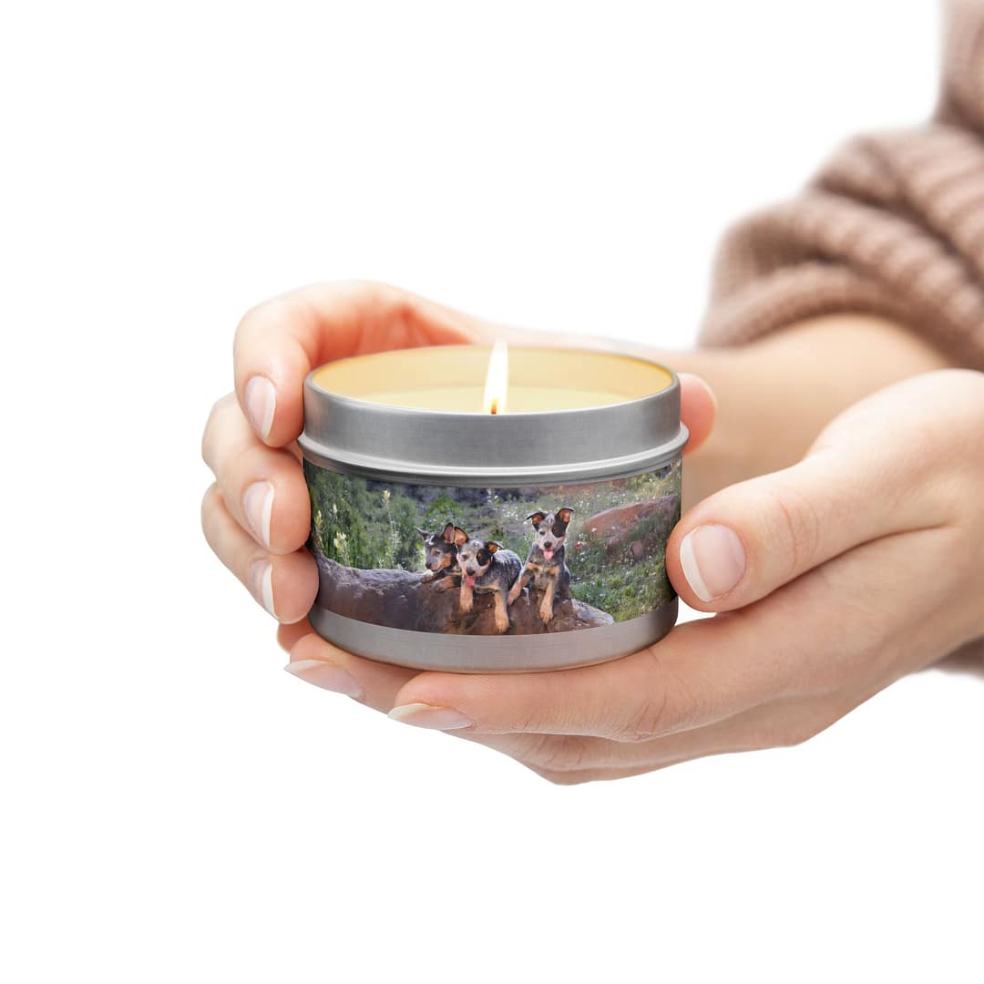 Nature-Inspired Tin Candles with Heelers - Image 3